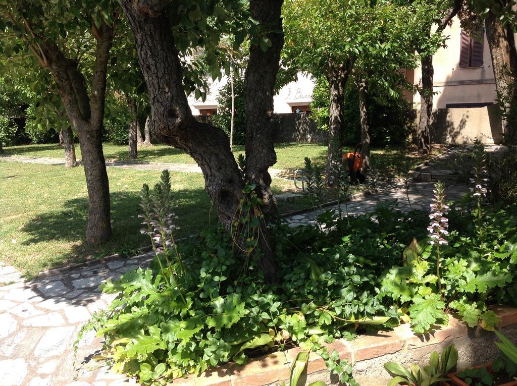 La Romita Ospitalita Rurale Familiare Villa Montisi Buitenkant foto